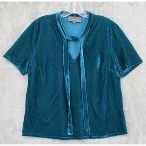 Anthropologie Sunday In Brooklyn Blouse Small Velvet Velour Tie Neck Stretch